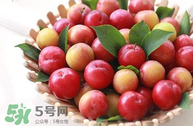 月經(jīng)期可以吃三華李嗎？月經(jīng)期能吃三華李嗎