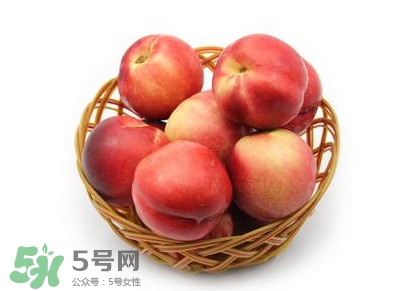 三華李可以泡酒嗎？三華李可以多吃嗎？