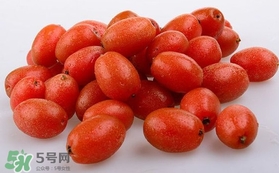羊奶果可以連皮吃嗎？羊奶果的皮可以吃嗎