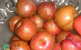 三華李可以泡酒嗎？三華李可以多吃嗎？