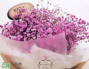 母親節(jié)可以送滿天星嗎？母親節(jié)能送滿天星嗎？