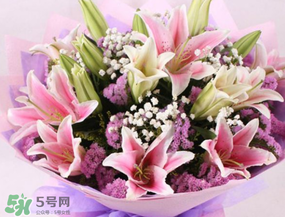 百合花多少錢一支2017？百合花多少錢一束2017？