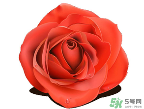 母親節(jié)送什么顏色的玫瑰花？母親節(jié)送幾朵玫瑰花？