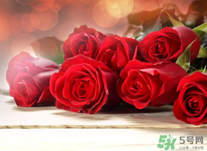 母親節(jié)送什么顏色的玫瑰花？母親節(jié)送幾朵玫瑰花？