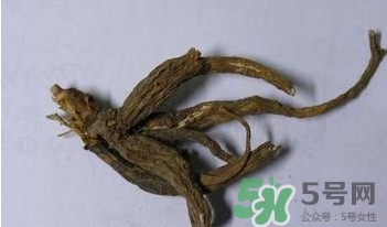 土瓜根是什么？土瓜根粉哪里有賣的？