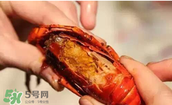 周黑鴨小龍蝦怎么吃？周黑鴨小龍蝦怎么吃圖解？