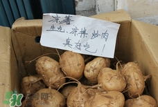 涼薯怎么做好吃？涼薯怎么炒好吃