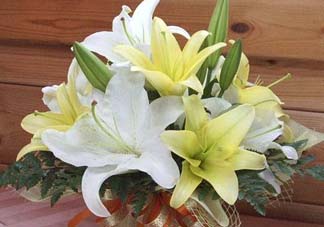 百合花多少錢一支2017？百合花多少錢一束2017？