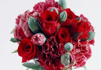 母親節(jié)送什么顏色的康乃馨？2017年母親節(jié)康乃馨推薦