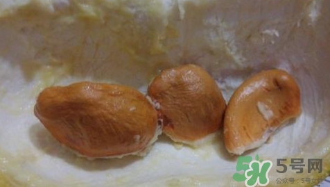 榴蓮核能種嗎？榴蓮核怎么種盆栽？