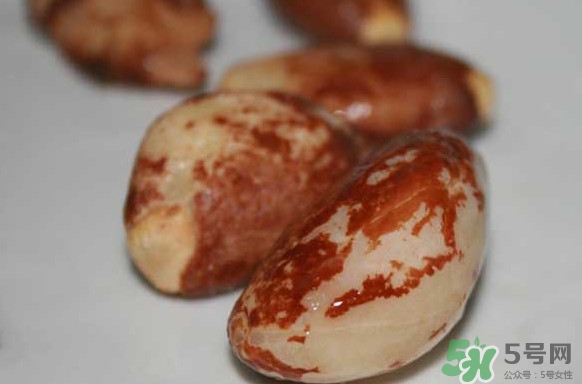 榴蓮核能種嗎？榴蓮核怎么種盆栽？