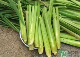 茭白能放冰箱嗎？茭白可以放冰箱多久
