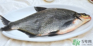 鳊魚怎么做好吃？鳊魚怎么燒好吃