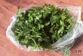 菊花腦怎么做好吃？菊花腦怎么做有營(yíng)養(yǎng)