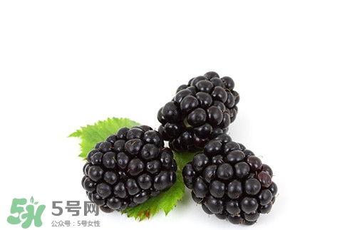 覆盆子的熱量高嗎？覆盆子可以減肥嗎？