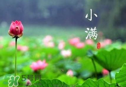 2017小滿是幾月幾日？小滿節(jié)氣養(yǎng)生