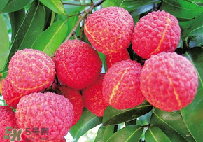 荔枝和蝦能一起吃嗎？荔枝與蝦同食會中毒嗎？