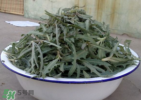 苦苦菜怎么腌制？怎樣腌制苦苦菜？