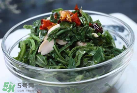 苦菜怎么保存？苦菜怎么保存時(shí)間長(zhǎng)？