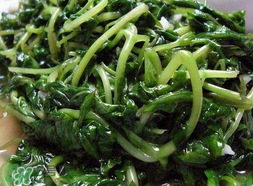苦菜可以曬干嗎？苦菜怎么曬干？