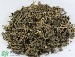 苦菜可以曬干嗎？苦菜怎么曬干？