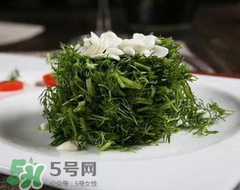 茴香菜怎么做好吃？茴香菜怎么炒好吃