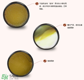 地球媽媽護臀膏能擦臉嗎？地球媽媽護臀膏可以擦臉用嗎？