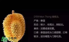 金枕頭和貓山王哪個(gè)好？金枕頭和貓山王的區(qū)別