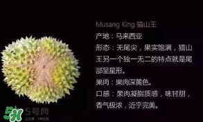 金枕頭和貓山王哪個(gè)好？金枕頭和貓山王的區(qū)別