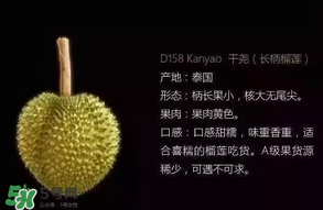 金枕頭和貓山王哪個(gè)好？金枕頭和貓山王的區(qū)別