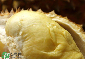 金枕頭榴蓮幾月份上市？金枕頭榴蓮什么時(shí)候上市？