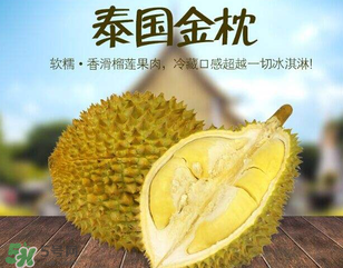 金枕頭榴蓮怎么才算熟？金枕頭榴蓮怎么催熟？