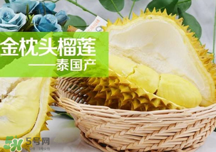 金枕頭榴蓮怎么才算熟？金枕頭榴蓮怎么催熟？