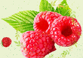 刺泡的熱量 刺泡可以減肥嗎？