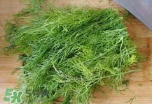 茴香菜是什么菜？茴香菜是香菜嗎