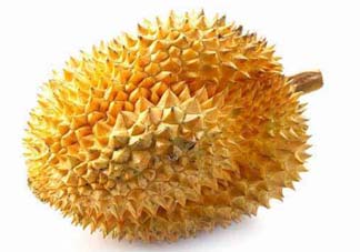 金枕頭和貓山王哪個(gè)好？金枕頭和貓山王的區(qū)別