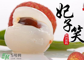 荔枝為什么叫妃子笑？荔枝和妃子笑的區(qū)別