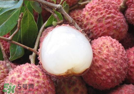 吃荔枝被酒駕怎么辦？吃荔枝酒駕是真的嗎？