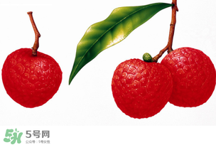 拉肚子能吃荔枝嗎 ？拉肚子可以吃荔枝嗎 ？