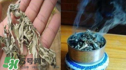 艾葉可以驅(qū)蚊子嗎？艾葉能驅(qū)蚊子嗎