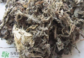 艾葉能治胃病嗎？艾葉可以治慢性胃炎嗎