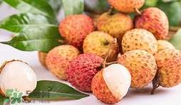 妃子笑荔枝是哪里出產(chǎn)的？妃子笑荔枝產(chǎn)地是哪里