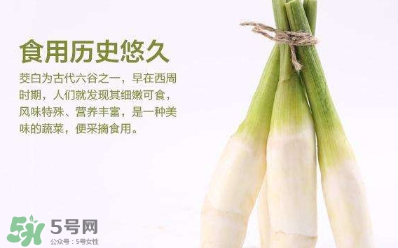 茭白是發(fā)物嗎？茭白是不是發(fā)物