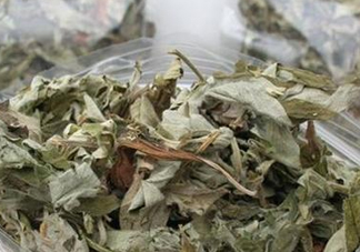 艾葉怎么做枕頭？自制艾葉怎么做枕頭