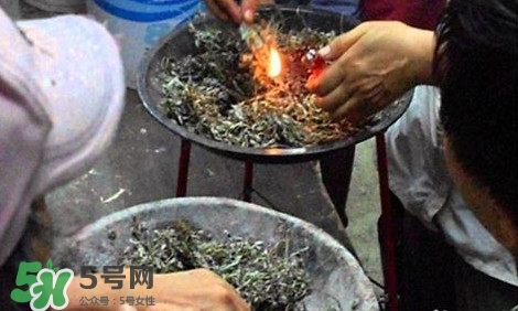 艾葉可以驅(qū)蚊子嗎？艾葉能驅(qū)蚊子嗎