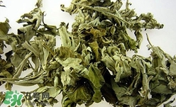 艾葉可以驅(qū)蚊子嗎？艾葉能驅(qū)蚊子嗎