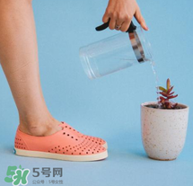 native鞋中文名稱是什么？native鞋中文怎么翻譯？