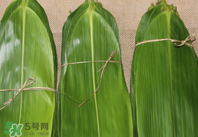 干粽葉要煮嗎？干粽葉到底是泡好還是煮好？