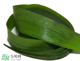 粽葉有幾種？粽葉哪種好？