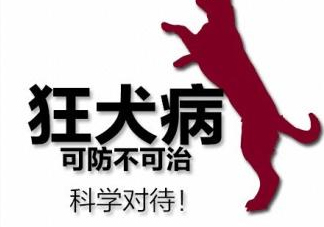 狂犬病會(huì)傳染嗎？狂犬病會(huì)學(xué)狗叫嗎
